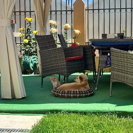 Adina 艾福雷诺德